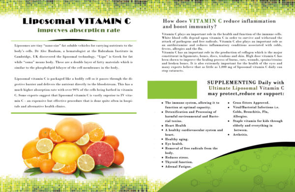 BoardRoom Organics Liposomal Vitamin C - Image 4