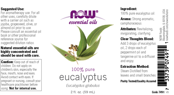 Eucalyptus Globulus Oil - 2 fl. oz. - Image 2