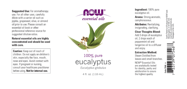 Eucalyptus Globulus Oil - 4 fl. oz. - Image 2